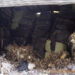 £2.1M confiscation order for illegal waste operator