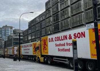 VIDEO | “Shellfish” lorries park by Downing Street in Brexit protest