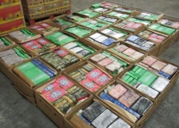 Cocaine worth £76m found at Southampton Port hidden in banana shipment