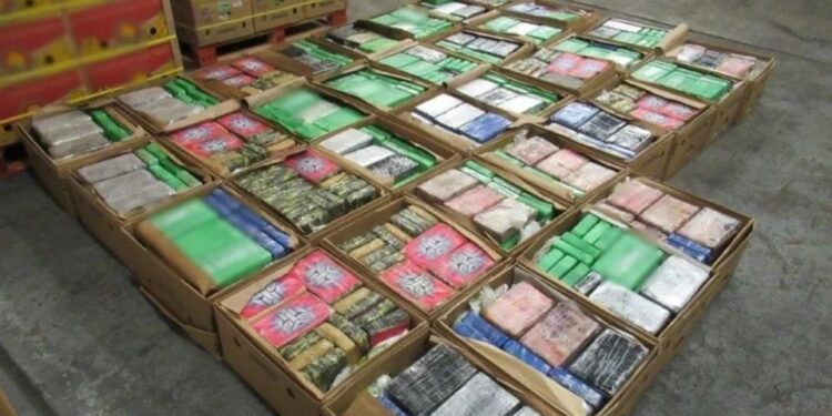 Cocaine worth £76m found at Southampton Port hidden in banana shipment