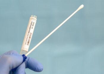 MP calls on lorry drivers to get Covid-19 tests outside of Kent