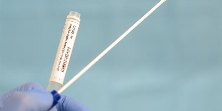 MP calls on lorry drivers to get Covid-19 tests outside of Kent