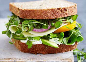 ‘Operation Snack’ sees drivers given vegan sandwiches to avoid post-Brexit belly ache