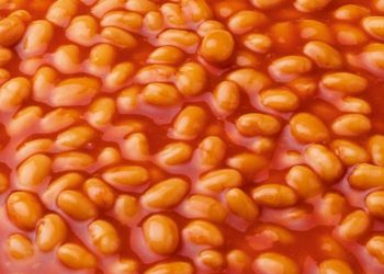 Trucker caught eating baked beans with both hands off wheel
