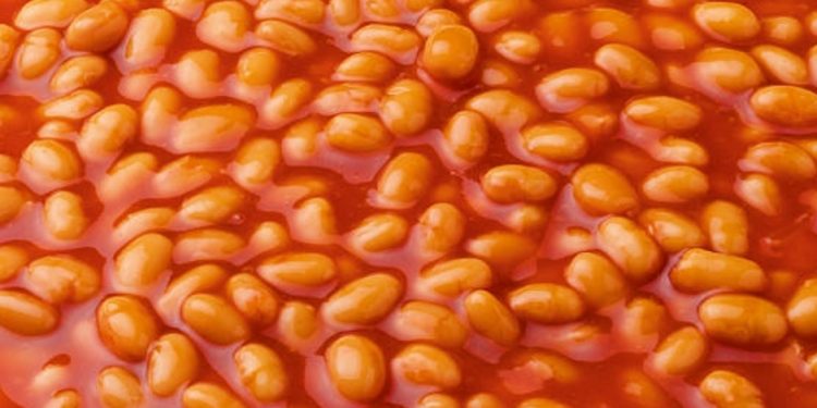 Trucker caught eating baked beans with both hands off wheel