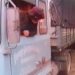 VIDEO | 1970s HGV Reversing Safety Advert