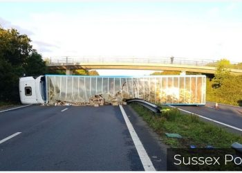 Amazon trucker jailed after overturning lorry
