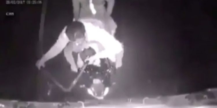 VIDEO OOPS | Biker bandits come a cropper