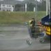 VIDEO OOPS | Off his trolley, in a trolley