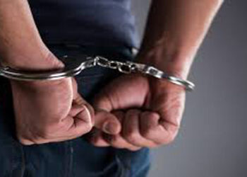 Trucker arrested after pedestrian suffers ‘significant head injury’