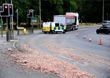 ‘Chicken parts’ scattered over A453 in Clifton ‘absolutely stinks’