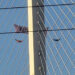 Dartford QEII Bridge remains closed for a second day as Just Stop Oil protest continues