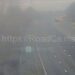 Trucker arrested as woman dies in M6 crash