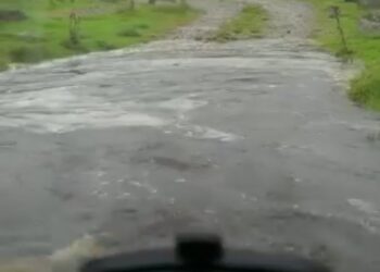 VIDEO OOPS | Van driver get that sinking feeling..