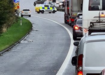 Driver took his own life by stepping in front of HGV