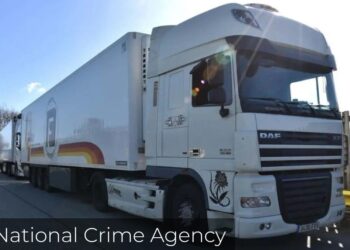 Jail for trucker who smuggled migrants into UK on spinach truck
