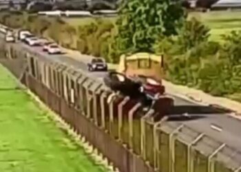 VIDEO | Tractor driver sentenced for crushing car
