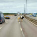 Cow Chaos Causes M6 Closure