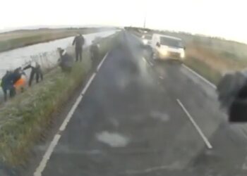 VIDEO | Hero Trucker Rescues Driver From Freezing Water